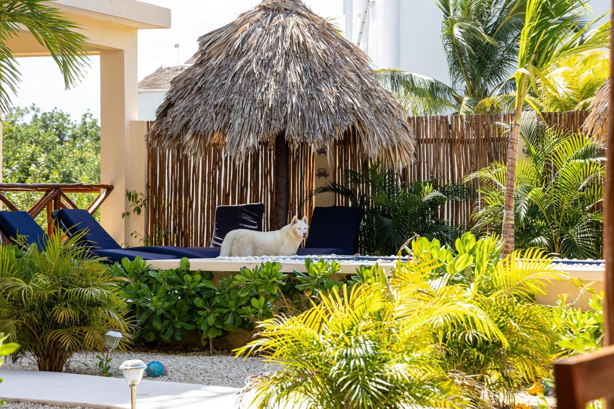 Atenea Holbox Exterior foto